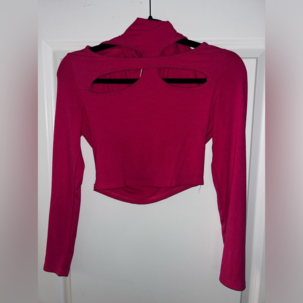Prink long sleeve crop top